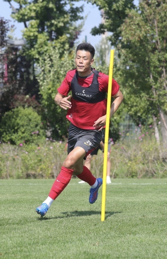 nibpf, 登蜀道非常 nibpf, 登蜀道非常